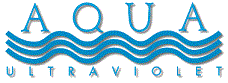 Aqua Ultraviolet® PVC Union, 2" MPT x 2" SLIP